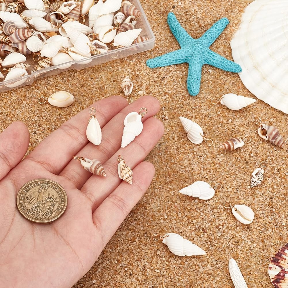 100pcs 4 Styles Natural Shell  - Jewelry Making Set review and price