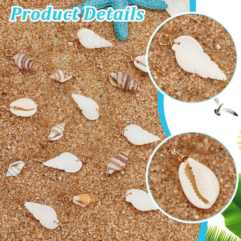 100pcs 4 Styles Natural Shell  - Jewelry Making Set review and price